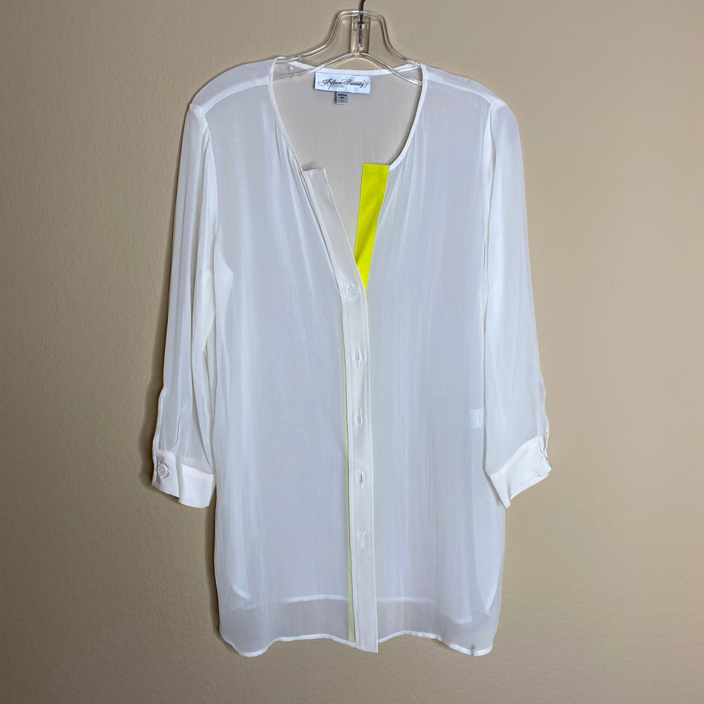fifteen-twenty silk sheer tunic blouse (new)